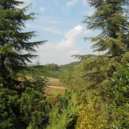 La Lodrona *